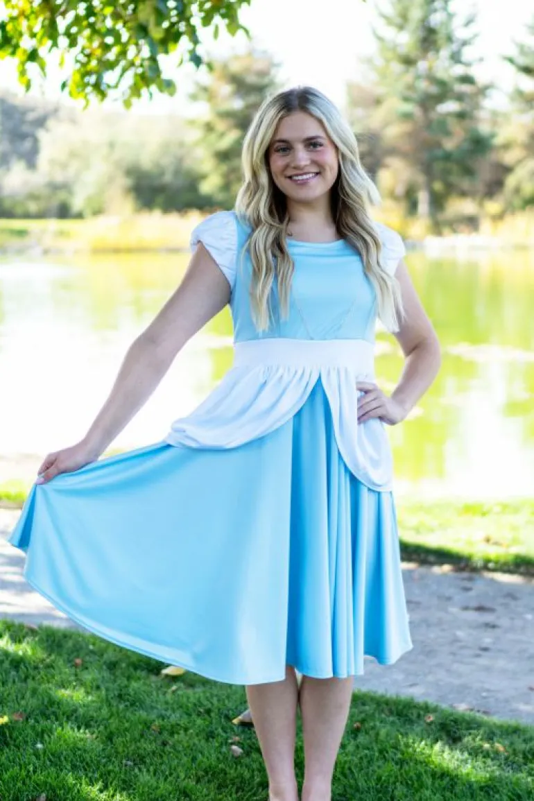 Twirl Dresses | Princess Dresses-Little Adventures, LLC Adult Cinderella Twirl Dress