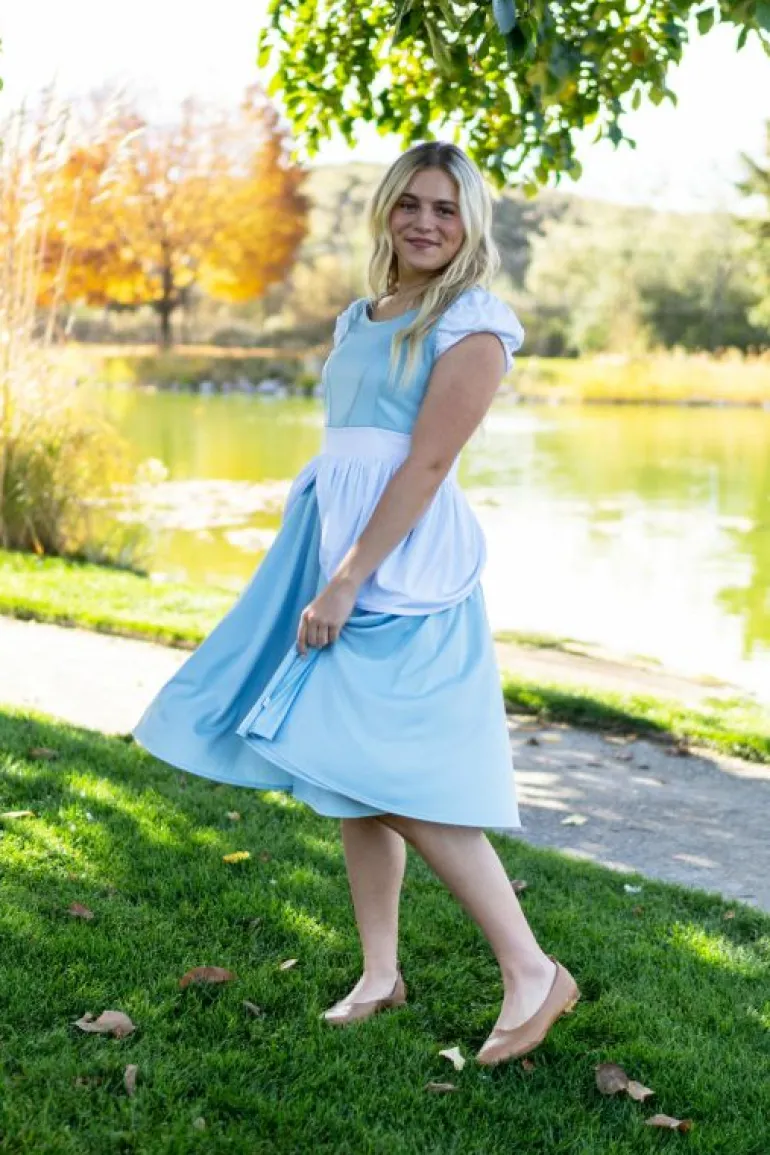 Twirl Dresses | Princess Dresses-Little Adventures, LLC Adult Cinderella Twirl Dress