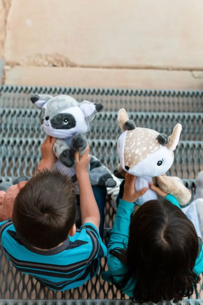 Stuffed Animals-Little Adventures, LLC Adventure Pal - Remy Raccoon