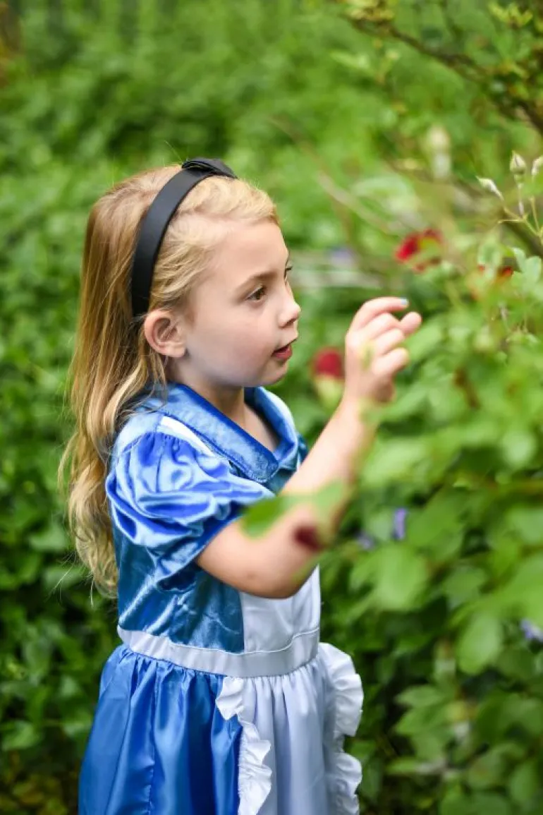 Traditional Dress Ups-Little Adventures, LLC Alice in Wonderland Dress Up with Headband