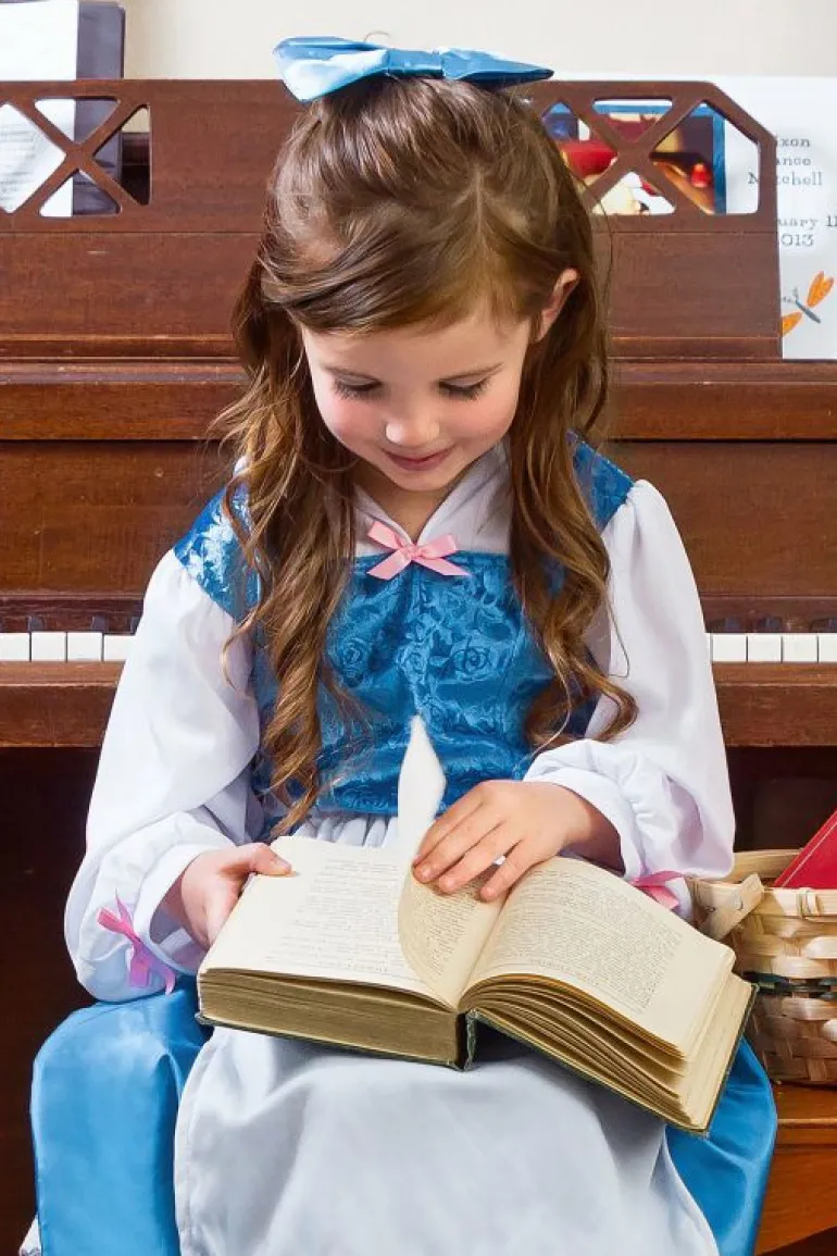 Traditional Dress Ups-Little Adventures, LLC Beauty Day Dress with Bow