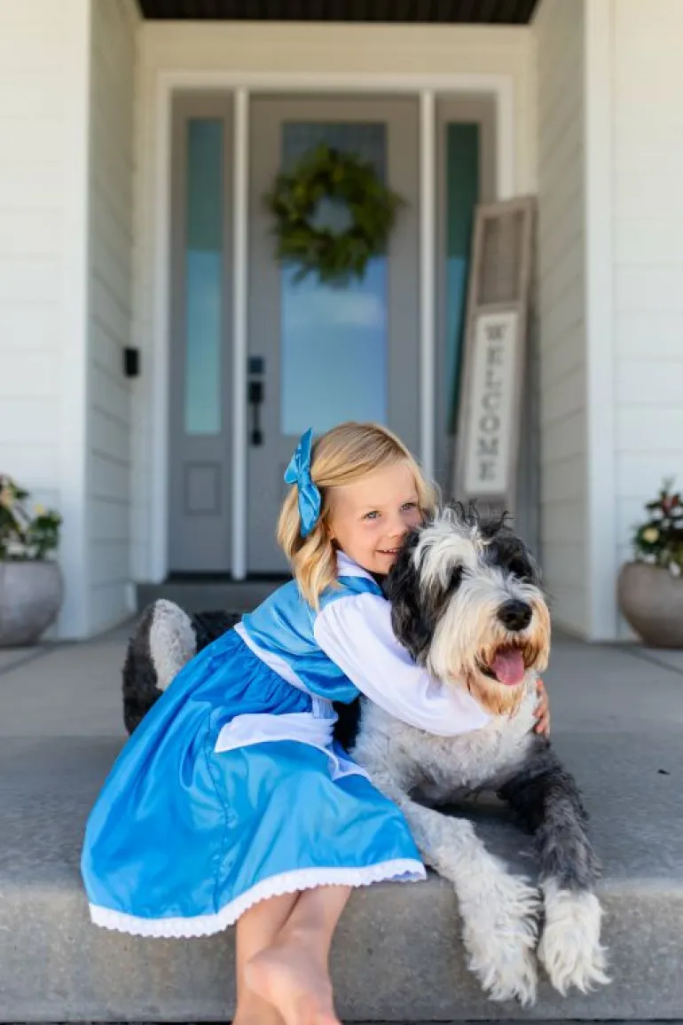 Traditional Dress Ups-Little Adventures, LLC Beauty Day Dress with Bow