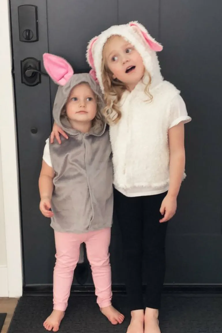 Seasonal | Animals-Little Adventures, LLC Donkey Vest