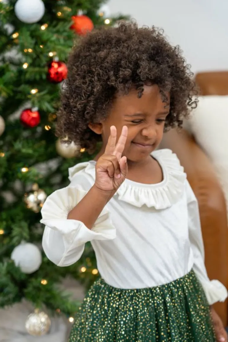 Party Dresses-Little Adventures, LLC Holiday Party Dress *Sale Exclusive*