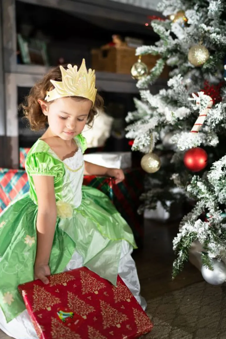 Traditional Dress Ups-Little Adventures, LLC Lily Pad Princess