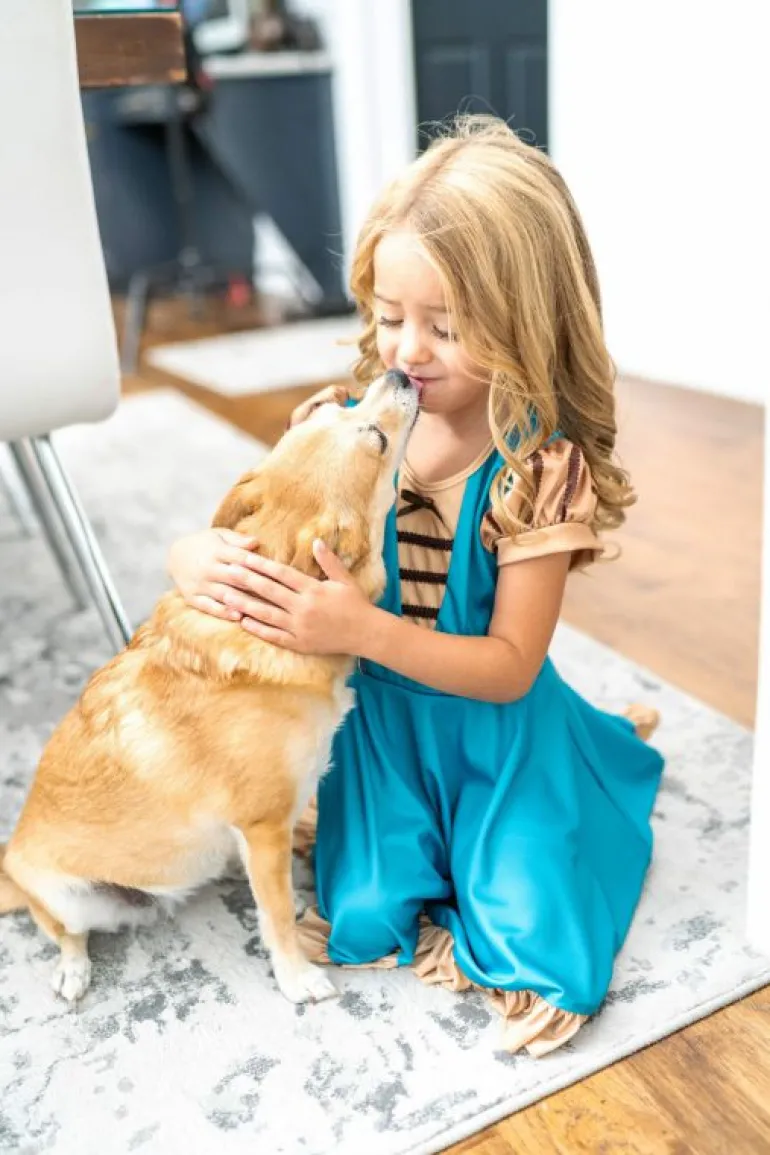 Twirl Dresses-Little Adventures, LLC Medieval Twirl Dress