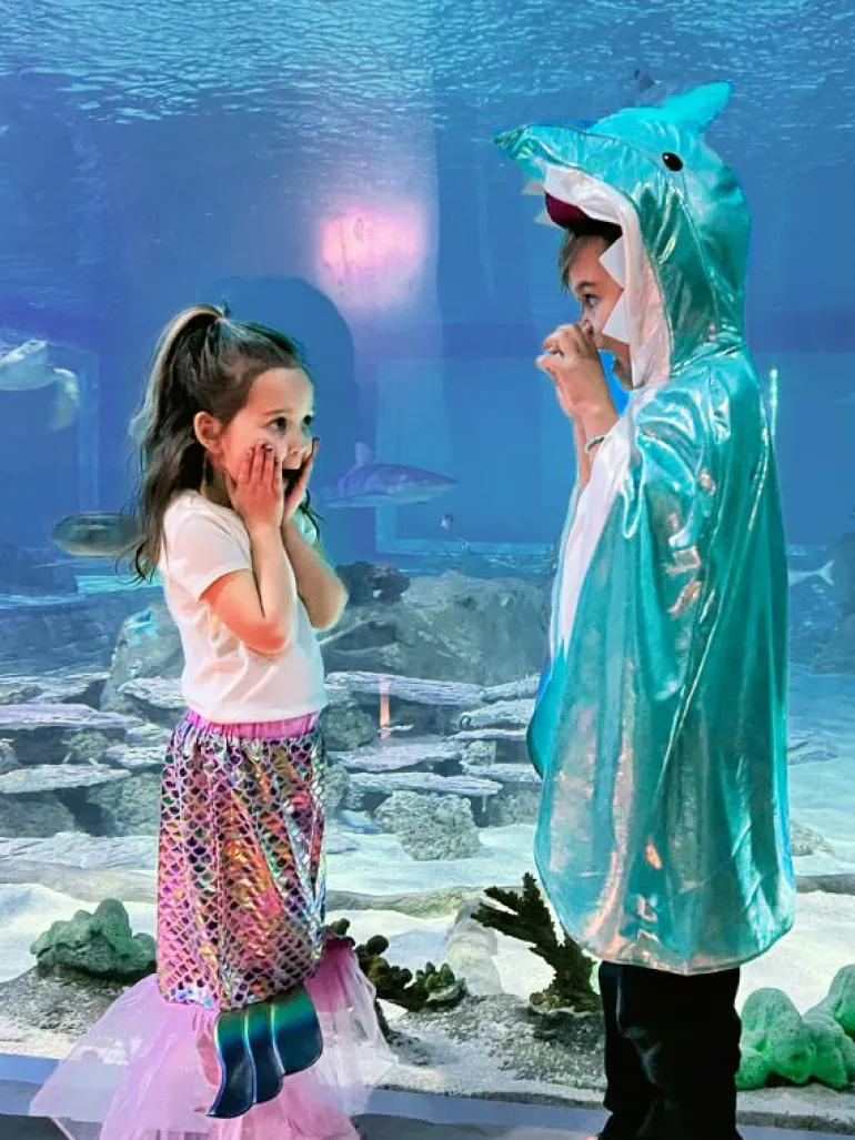 Tutus & Skirts | Traditional Dress Ups-Little Adventures, LLC Pink Mermaid Splash