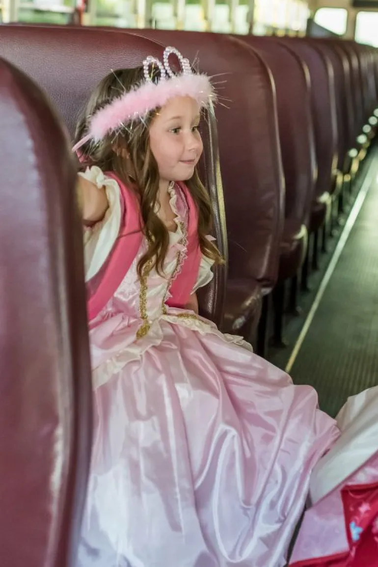 Traditional Dress Ups-Little Adventures, LLC Pink Vintage Princess Dress