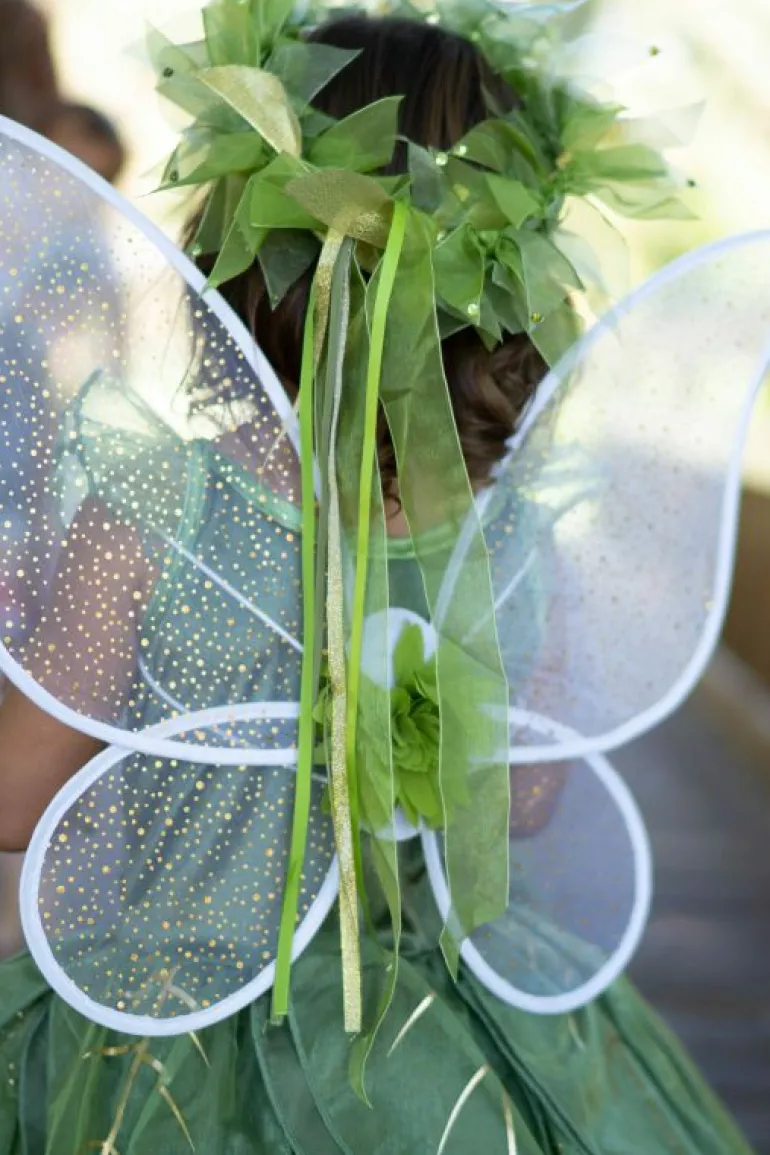Accessories-Little Adventures, LLC Pixie Tinkerbell Wings