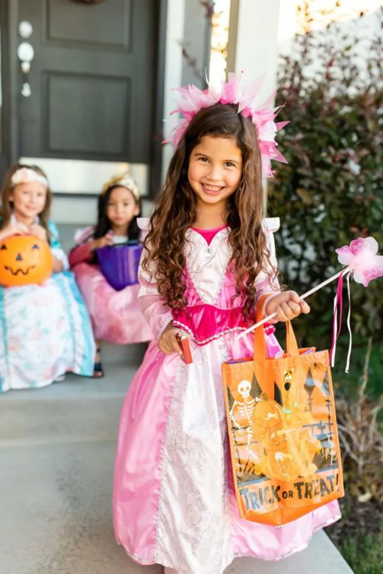 Traditional Dress Ups-Little Adventures, LLC Sleeping Beauty Dress