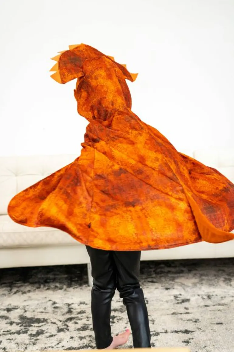Dinosaurs-Little Adventures, LLC Triceratops Hooded Animal Cloak