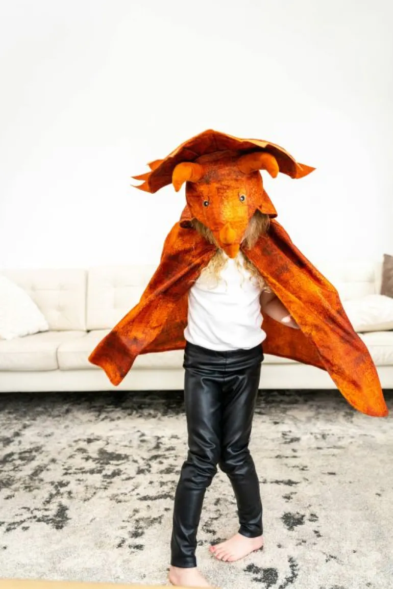 Dinosaurs-Little Adventures, LLC Triceratops Hooded Animal Cloak