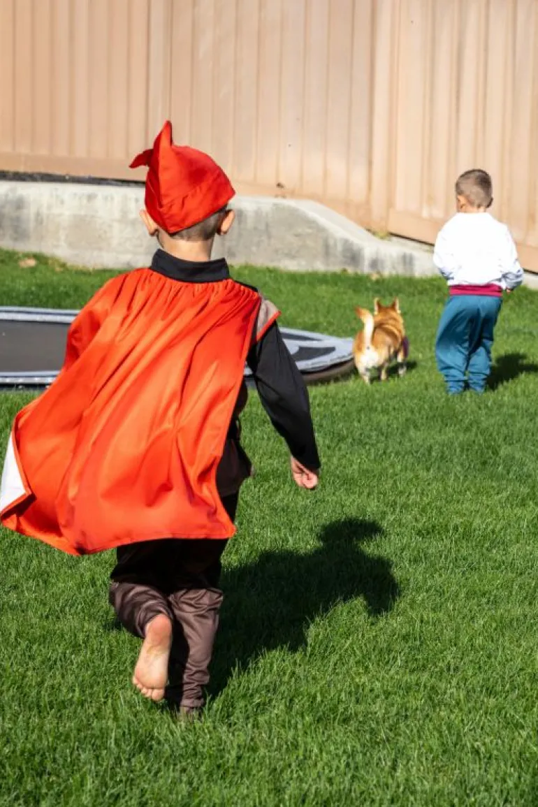 Princes-Little Adventures, LLC True Love Prince