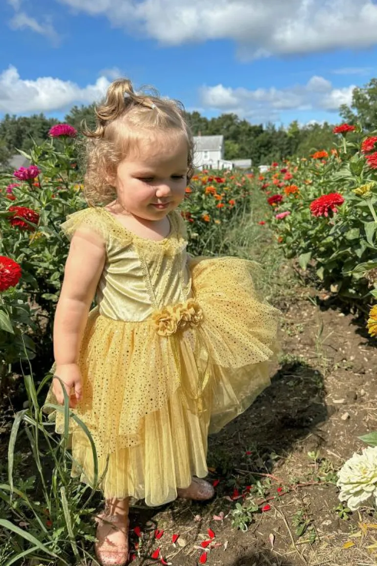 Party Dresses-Little Adventures, LLC Vintage Yellow Beauty Party Dress